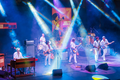 Devon Allman Project