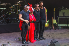 Lady Blackbird