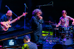 Antonio Serrano & Kaele Jiménez Cuarteto