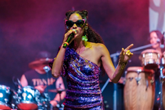 The Brand New Heavies