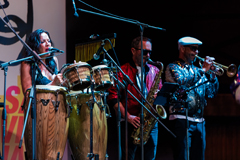 The Brand New Heavies