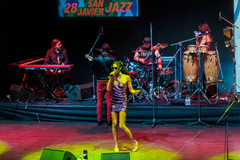 The Brand New Heavies