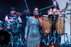 The Brand New Heavies